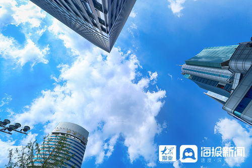 市排球協(xié)會換屆大會在淄博十中舉行