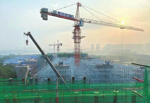 將軍路大橋 西河南路 南充這些建設工程最新進度來了