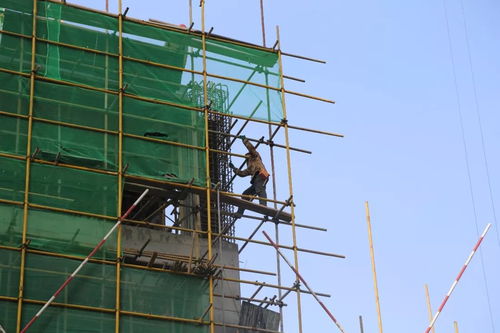 嘉澤 陽光天地丨辛苦了,建筑工人們 內附最新工程進度