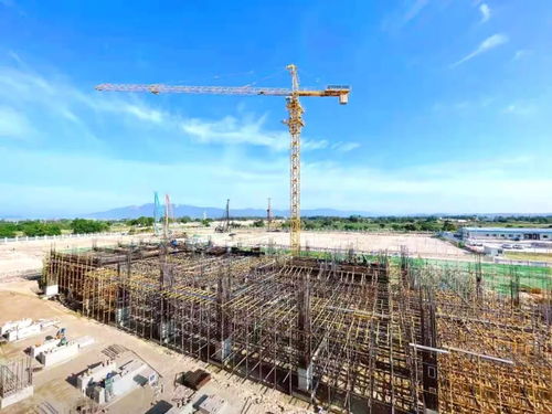 青海建設工程服務網 互聯網+工程建設驅動產業轉型升級